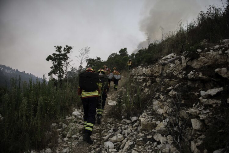 Fogo no Parque Natural das Serras de Aire e Candeeiros está reactivado