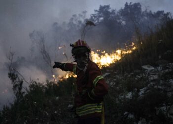 Fogo no parque natural de Porto de Mós está em fase de resolução e consumiu 1000 hectares