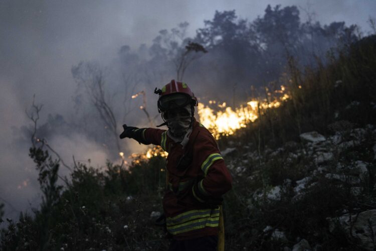 Fogo no parque natural de Porto de Mós está em fase de resolução e consumiu 1000 hectares
