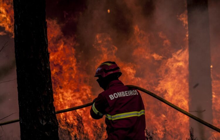 Incêndios: Leiria em alerta laranja até domingo