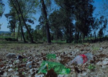 “Central Park de Leiria” poderá ser a Mata dos Marrazes