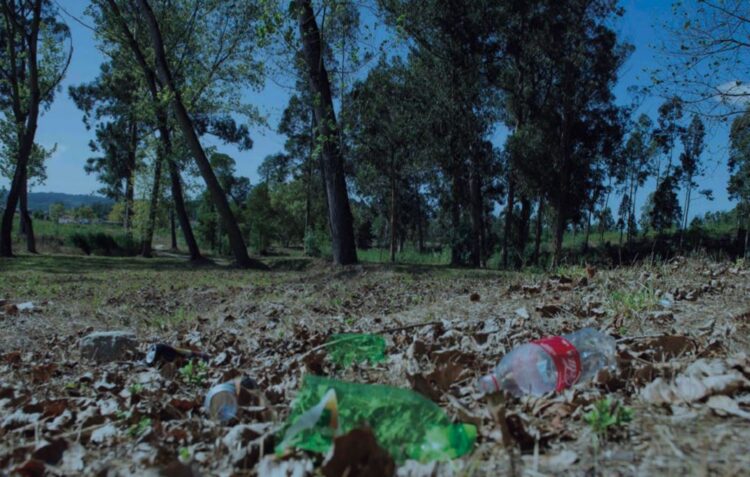 “Central Park de Leiria” poderá ser a Mata dos Marrazes