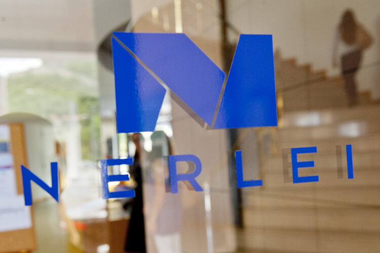 Nerlei destaca necessidade do OE para 2021 incluir medidas para recuperação da economia