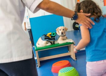 Animais terapeutas abrem sorrisos e semeiam afectos