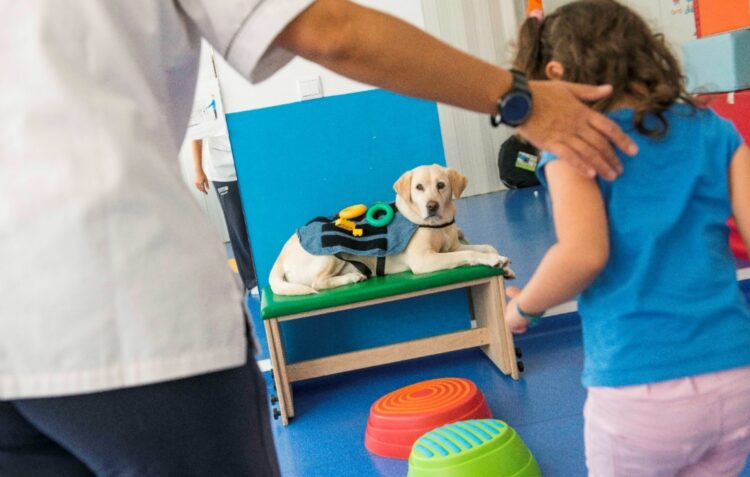 Animais terapeutas abrem sorrisos e semeiam afectos