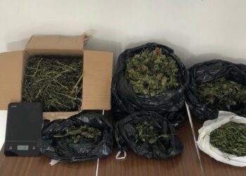 Detido homem no Louriçal por tráfico de estupefacientes