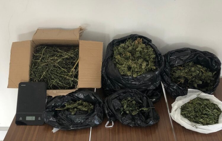 Detido homem no Louriçal por tráfico de estupefacientes