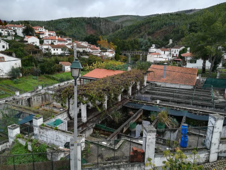 Figueiró dos Vinhos: reconversão do Posto Aquícola de Campelo já está em execução