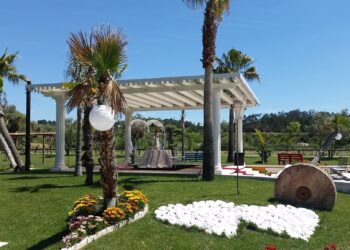 Quinta do Paul comemora 35 anos com vários projectos novos