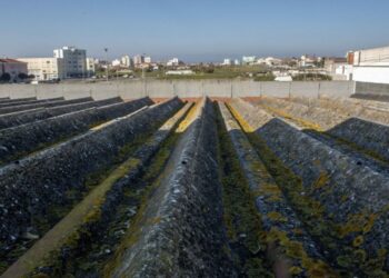 Município de Leiria gasta 613 mil euros para remover amianto em oito escolas