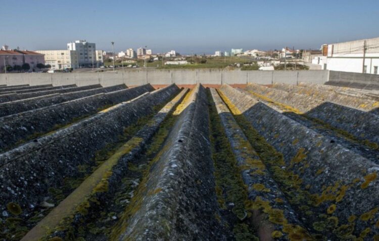 Município de Leiria gasta 613 mil euros para remover amianto em oito escolas