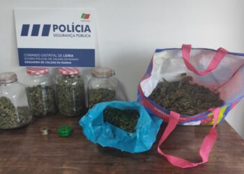Detido indivíduo com 2.554 doses de cannabis