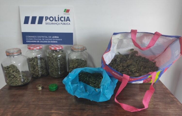 Detido indivíduo com 2.554 doses de cannabis