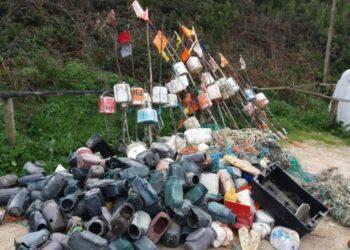 Brigada do Mar promove acção de limpeza na praia do Pedrógão