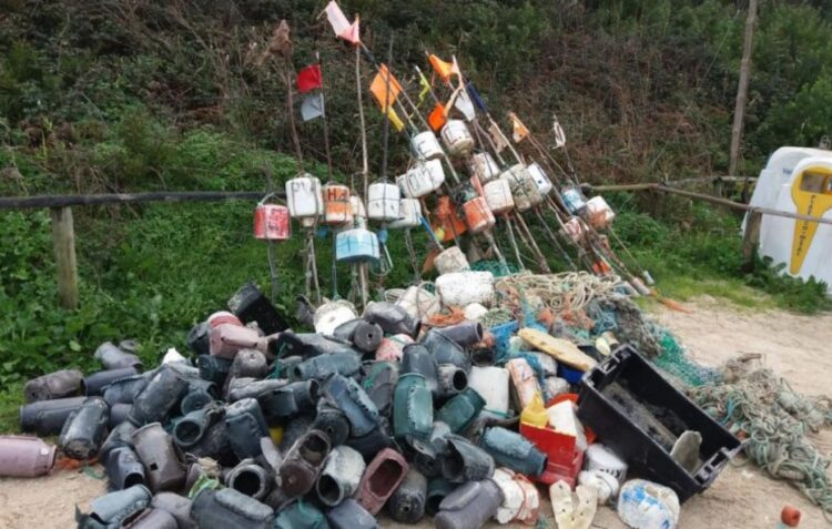 Brigada do Mar promove acção de limpeza na praia do Pedrógão