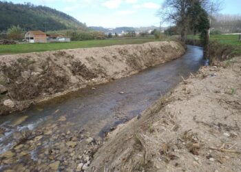 Limpezas “drásticas” nas margens dos rios preocupam associação ambientalista Oikos