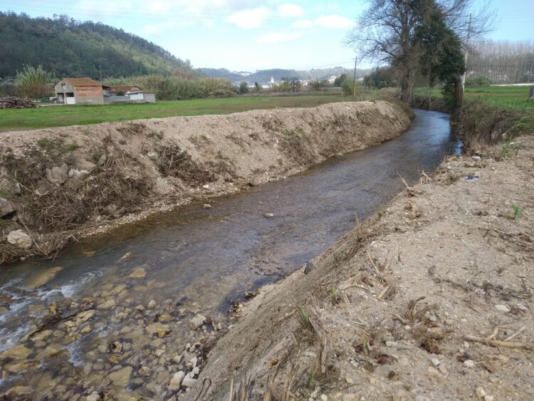 Limpezas “drásticas” nas margens dos rios preocupam associação ambientalista Oikos