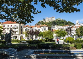 Concelho de Leiria com 101 novos casos de Covid-19 nos últimos três dias