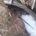 GNR de Caldas da Rainha detecta descarga ilegal