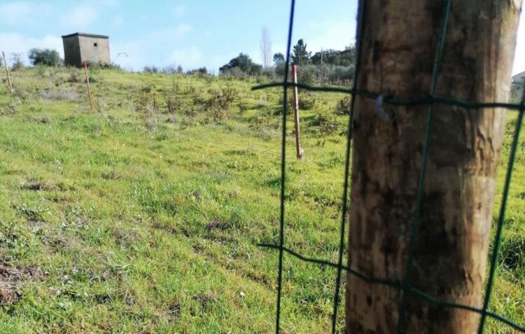 Quinta do Escuteiro alvo de furto na madrugada de segunda-feira