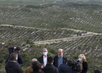 Esperar mais uma Primavera pela regeneração natural e lançar todas as intervenções no Pinhal de Leiria na actual legislatura