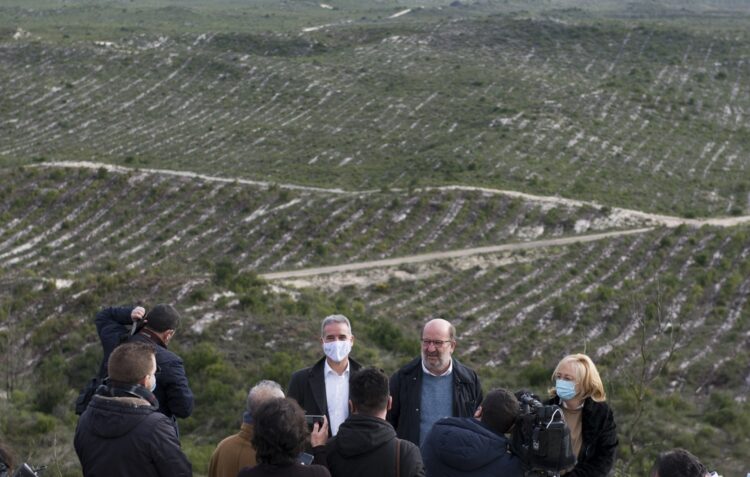 Esperar mais uma Primavera pela regeneração natural e lançar todas as intervenções no Pinhal de Leiria na actual legislatura