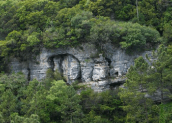 Leiria candidata Vale do Lapedo a Marca Europeia do Património