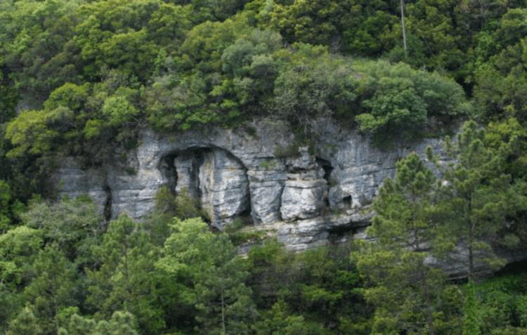 Leiria candidata Vale do Lapedo a Marca Europeia do Património