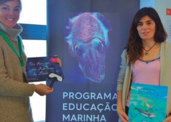 Reflorestar o mar é a missão de Raquel Gaspar e da Ocean Alive