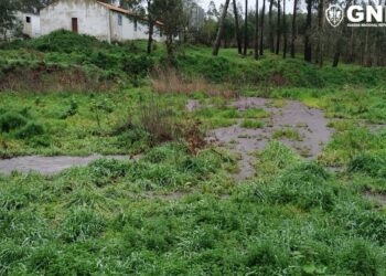 Mais três descargas poluentes detectadas pela GNR de Leiria