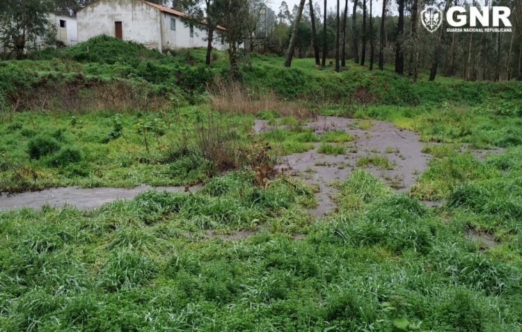 Mais três descargas poluentes detectadas pela GNR de Leiria