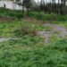 Mais três descargas poluentes detectadas pela GNR de Leiria