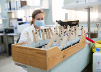Covid-19: Mais 527 novos casos e 14 mortes em 24 horas