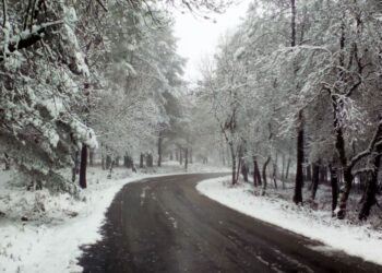 Castanheira de Pera reabre estradas  que estavam fechadas devido à neve