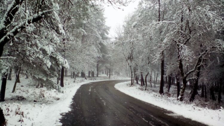 Castanheira de Pera reabre estradas que estavam fechadas devido à neve