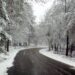 Castanheira de Pera reabre estradas que estavam fechadas devido à neve