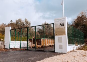 Entram em funcionamento cinco parques de recolha de ‘monstros’ em Pombal