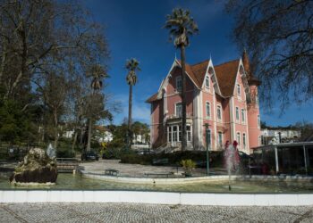 Munícipes desafiados a escolher parte da programação cultural de Alcobaça