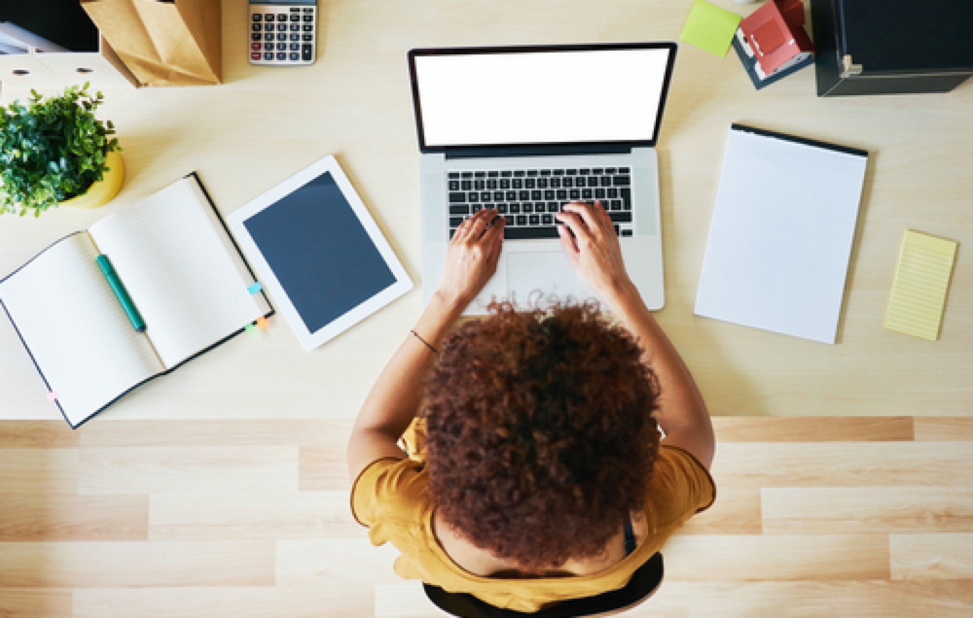 Cursos online da Master D: boas ferramentas para potenciar o futuro profissional