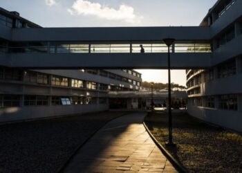 Três projectos desenvolvidos no Politécnico de Leiria  nomeados para o Prémio Sophia Estudantes 2021