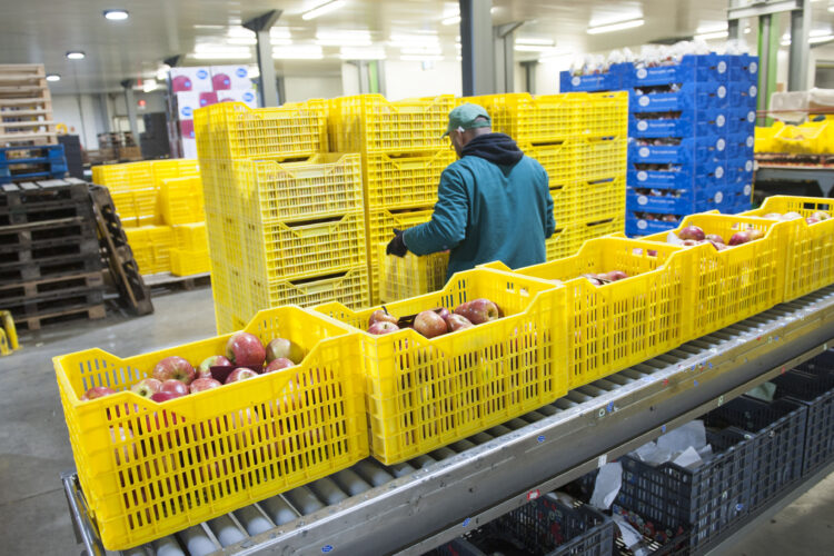 Distrito de Leiria tem 745 empresas PME Líder
