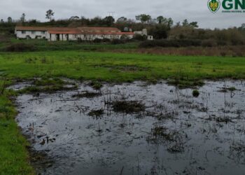 GNR detecta duas descargas ilegais de efluentes pecuários em 48 horas