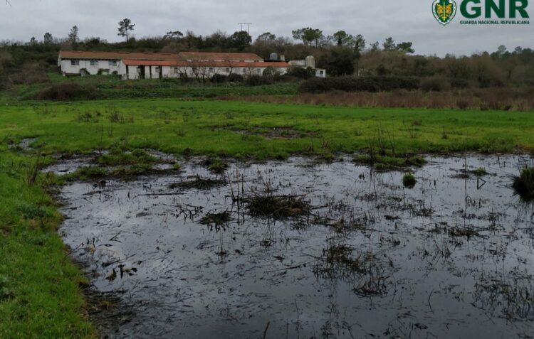 GNR detecta duas descargas ilegais de efluentes pecuários em 48 horas
