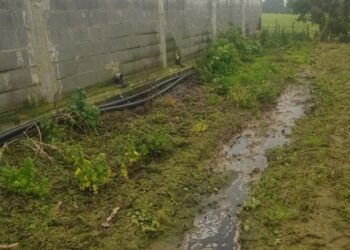 GNR detecta descarga ilegal de efluentes pecuários em Alcobaça