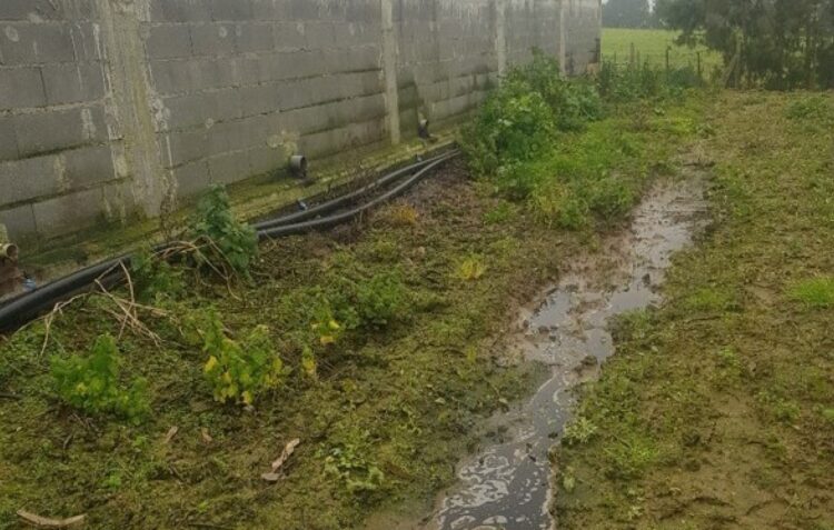 GNR detecta descarga ilegal de efluentes pecuários em Alcobaça