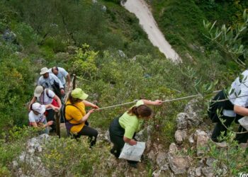 Parque sensorial da Pia do Urso vai ser melhorado