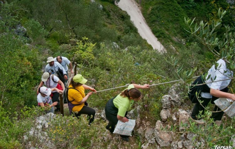 Parque sensorial da Pia do Urso vai ser melhorado