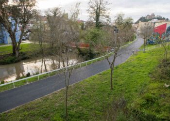 Município de Leiria garante que não colocou alcatrão no Polis