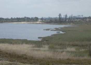 Lagoa da Ervedeira subiu mais de dois metros nos últimos meses