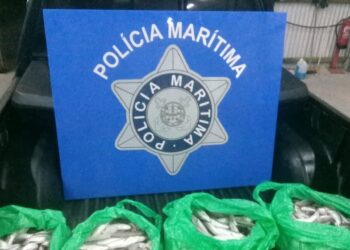 Polícia Marítima apreende cerca de 50 quilos de de pescado no porto da Nazaré
